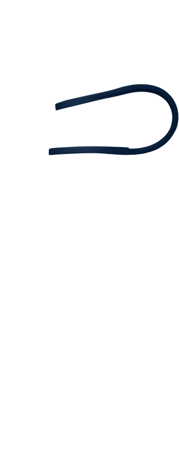 Band Image