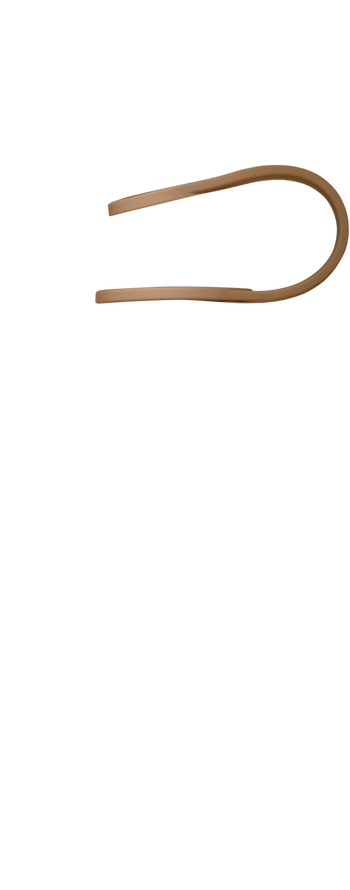 Band Image